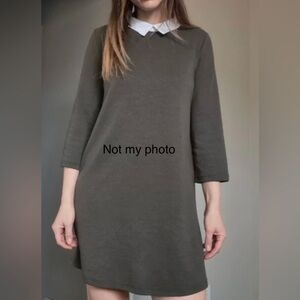 Zara collared mini dress